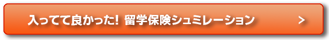 入っててよかった留学保険シュミレーション