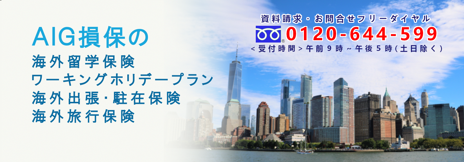 ＡＩＧの海外保険